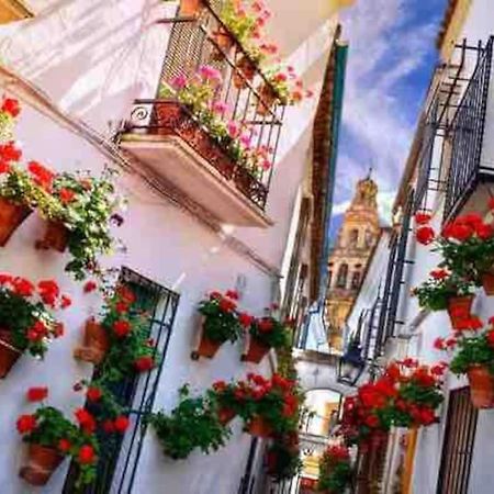 Apartamento Con Jardin Y Piscina En Cordova Esterno foto