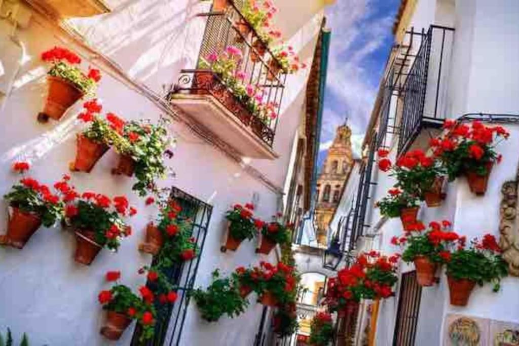 Apartamento Con Jardin Y Piscina En Cordova Esterno foto