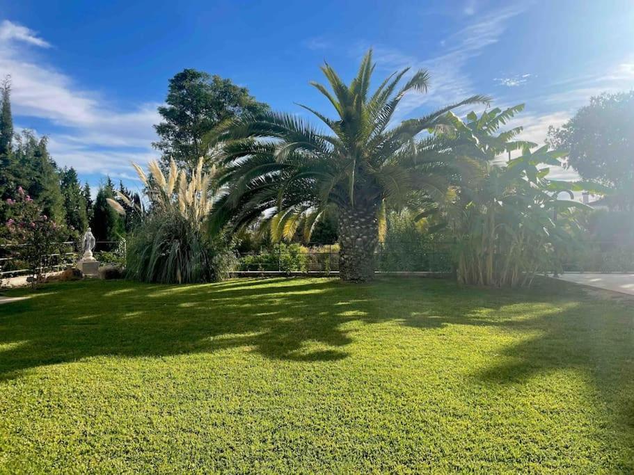 Apartamento Con Jardin Y Piscina En Cordova Esterno foto